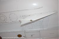 IMG_8663.jpg