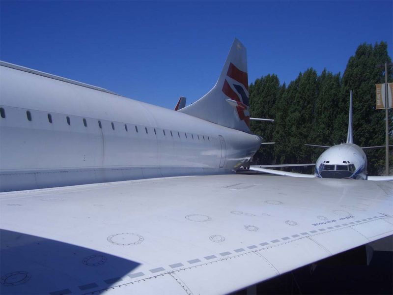 CIMG4658-01.jpg
