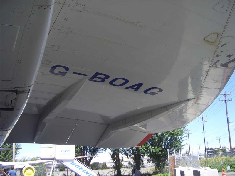 CIMG4677-01.jpg