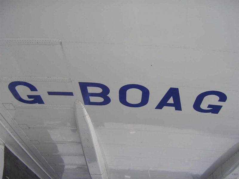 CIMG4681-01.jpg