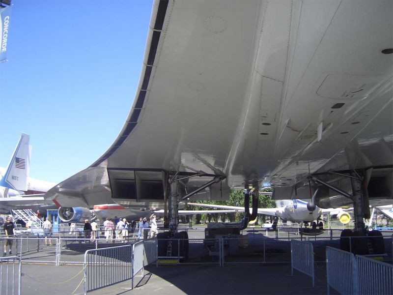 CIMG4697-01.jpg