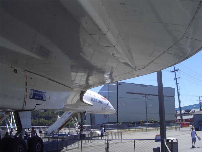 CIMG4701-01.jpg