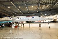 IMG_5239.jpg