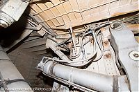 IMG_5274.jpg