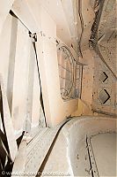 IMG_5279.jpg