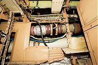 IMG_5326.jpg