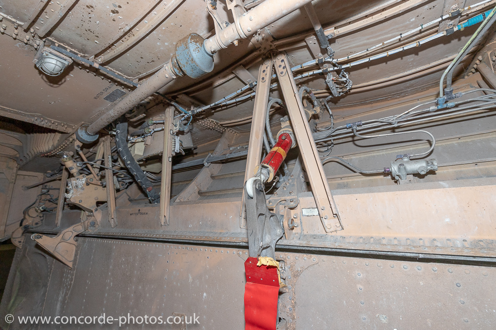 IMG_6817.jpg
