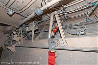 IMG_6817.jpg