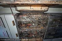 IMG_9485.jpg