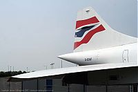 IMG_5124-01.jpg