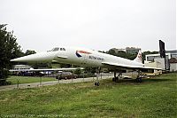 IMG_6527-01.jpg
