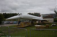IMG_6382-01.jpg