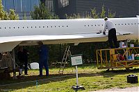 IMG_6395-01.jpg