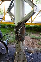 IMG_5876-01.jpg