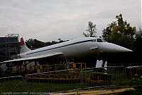 IMG_6596-01.jpg