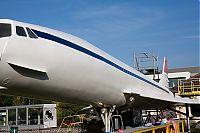 IMG_6651-01.jpg
