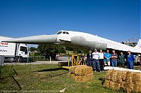 IMG_6271-Edit-01.jpg