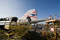 IMG_6273-01.jpg
