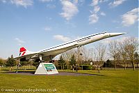 IMG_1825.jpg