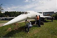 IMG_5475-01.jpg