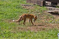 IMG_5672-01.jpg